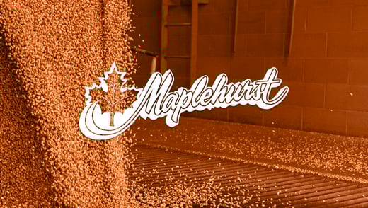 Maplehurst-Customer-Stories-1536x869